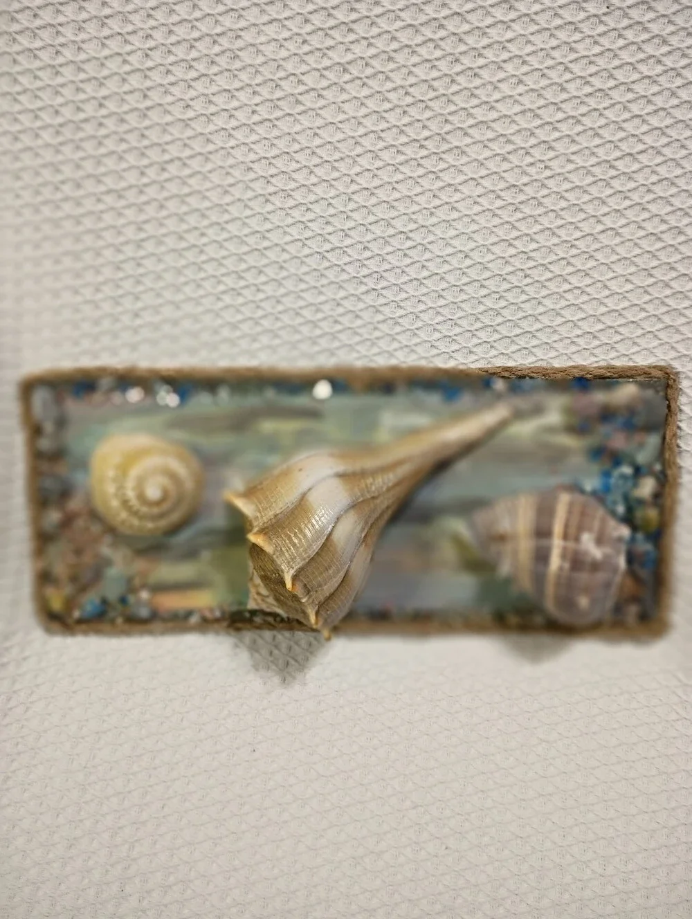 Coastal Seashell Wall Art Panel in Cream and Tan - Unbranded